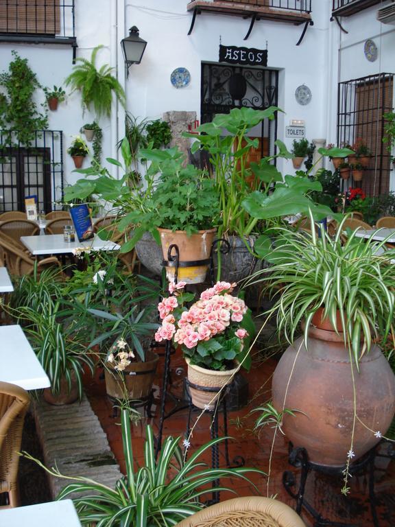 Patios * Cordoba